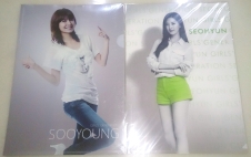 SMTown Sooyoung Clear File; Everysing Seohyun File